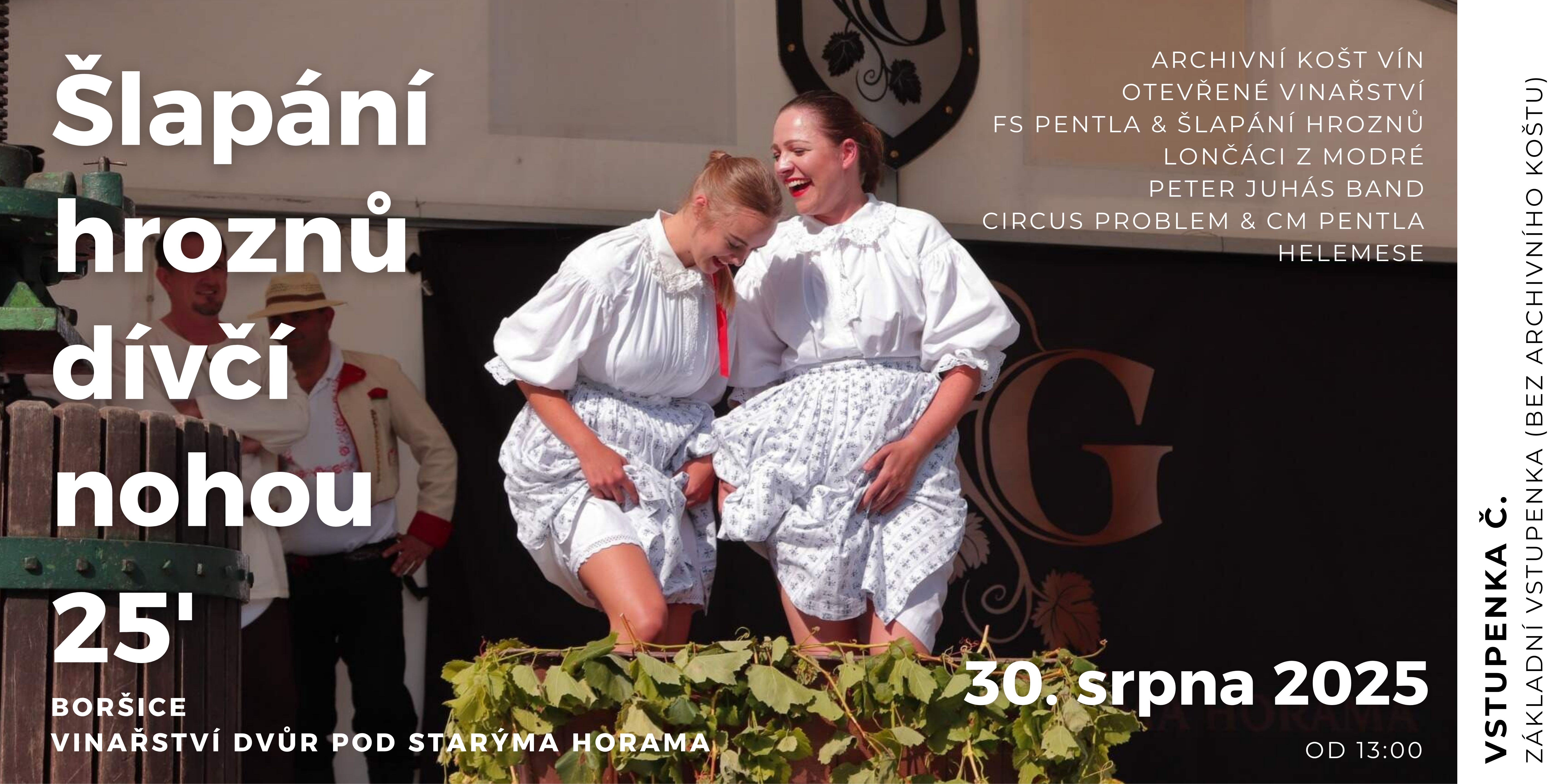 základní vstupenka